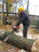 Обрезка деревьев Обрезка деревьев